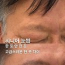브로헤어 | 남천동 대연동 눈썹 잘하는 곳 후기, 헤어스트록+페더링 전문 브로우류 스튜디오( 주차 지원)