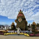 풍기인삼축제 보러 떠난 영주여행 (영주사람의 영주여행)