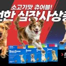 남양스타치과 이미지
