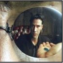 고릴라약국 이미지