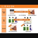 라이프클럽