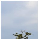 낙산7호넷비치 이미지