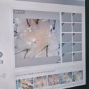 대전 유성 두피클리닉 WT메소드 유성대덕점 다녀온 후기