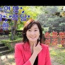오티디코퍼레이션 이미지