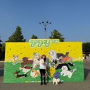 하루댕댕 | 댕댕런2025 in 대전 세상에서 가장 귀여운개라톤 5k완주 후기