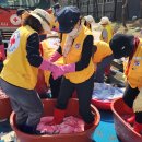 천사세탁 이미지