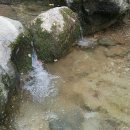 종로· 진골목 이미지