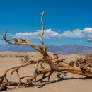 주님사랑교회 이미지