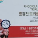 트리플엘 이미지