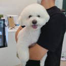 무브멍트 이미지