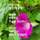 아침이슬 이미지