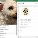 도그투케이크 이미지