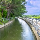 솟대마을 이미지