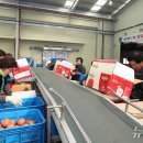 무풍 농산물산지유통센터 이미지