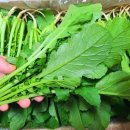 연한농장 이미지