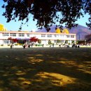 길안초등학교 이미지