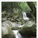 지리산계곡 Daum카페