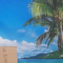 유앤릿 네이버블로그