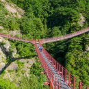 베스트365놀이터 이미지