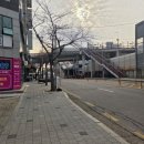 푸른가정의원 이미지