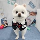 이뻐지는산책 이미지