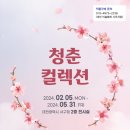서구 사진예술 대전일보