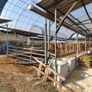 한우축사 이미지