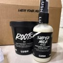 러쉬(LUSH) | 내돈내산 러쉬(LUSH) 구매후기