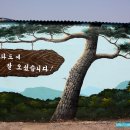 (주)올레길