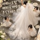 아바니호텔 웨딩 메리유 내돈내산 계약후기(플래너없이 결혼준비)
