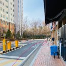 숲속공인중개사사무소 네이버블로그
