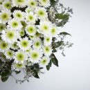 박신혜유외과의원 이미지