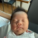 새마을로177번길~새마을로165번길 | [조리원] 분당 플로라 산후조리원 후기 / 부대시설 / 마사지 / VVIP룸