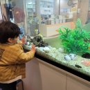 맘 편안의원 이미지