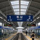 세븐일레븐 칠곡북삼현대점 | 대경선 북삼역 개통, 100년만에 신설 지금 가봐야 하는 이유?