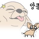 스멜로우 - 진주시 신평공원길57번길 18-4 | 스멜로우