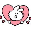 (주)폴리아트 이미지