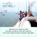 전곡리어촌체험마을