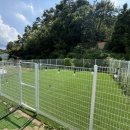 버디그루밍 이미지