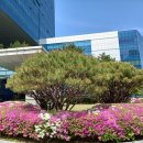 서울북부지방검찰청