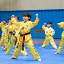 태성태권도체육관 이미지