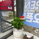 지에스25 레이카운티3단지점 이미지
