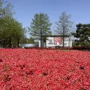 한밭카센타 이미지