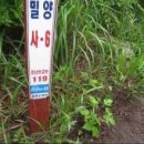 능동산~구연봉~사자봉~표충사