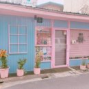 핑크러브샵 이미지