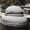 성림농원 이미지