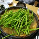 쩐호우츠