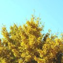 큰집추어탕 이미지