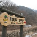 월악산오토캠핑장 이미지