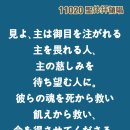 2025-10-20연중 제29주간 월요일「お前が用意した物は、いったいだれのものになるのか」 이미지
